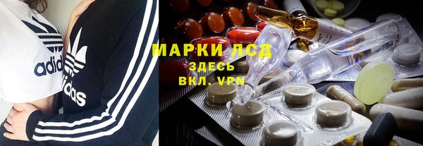 стаф Приозерск
