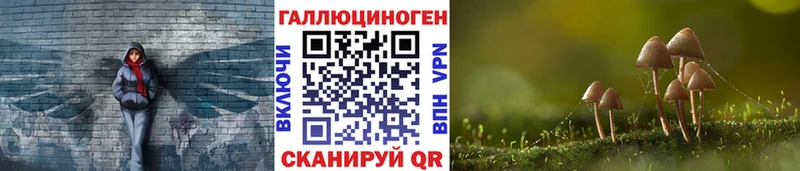 цена   Семёнов  Псилоцибиновые грибы GOLDEN TEACHER 
